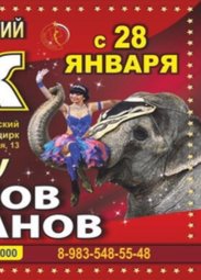 Цирк, «Шоу слонов великанов»