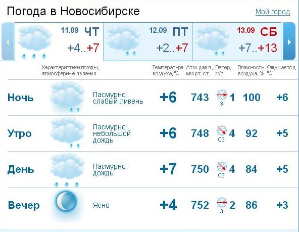 Погода г Воронеж. Погода в Новосибирске сегодня почасовой. Погода в Сыктывкаре на неделю. Погода в Кургане на неделю.